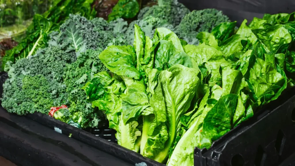 Vegetales de hojas verdes como kale, espinaca y brócoli, ideales para la desintoxicación y fortalecimiento del organismo.